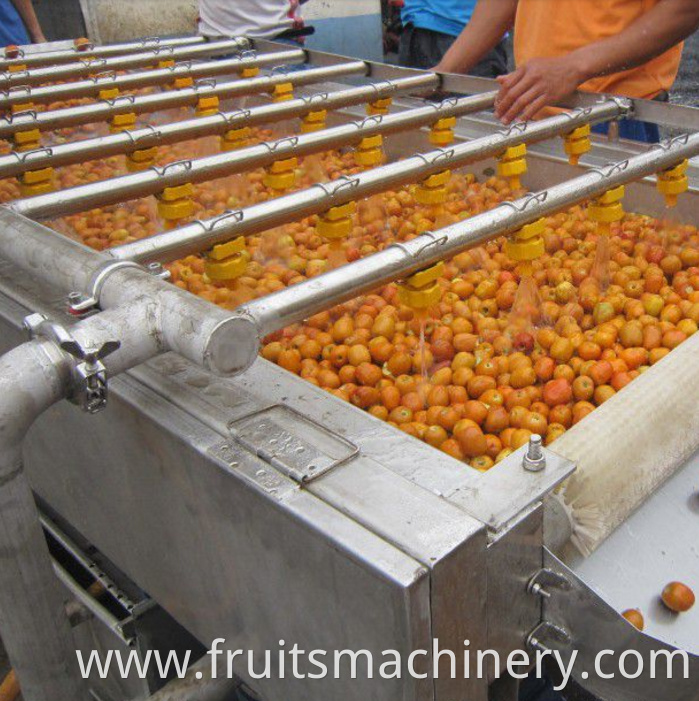 Automatic cranberry processing line